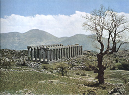 Photo  of Temple ruin