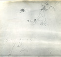 View 23