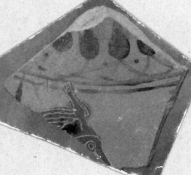 FRAGMENT (ATHENIAN, BLACK-FIGURE)