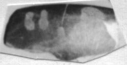 CUP, FRAGMENT (ATHENIAN, RED-FIGURE)