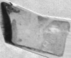 CUP, FRAGMENT (ATHENIAN, RED-FIGURE)