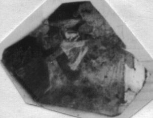 CUP, FRAGMENT (ATHENIAN, RED-FIGURE)