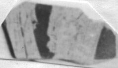 CUP, FRAGMENT (ATHENIAN, RED-FIGURE)