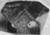 CUP, FRAGMENT (ATHENIAN, RED-FIGURE)