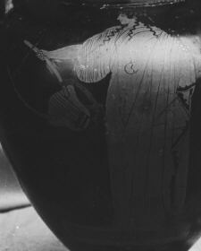 AMPHORA, NECK (ATHENIAN, RED-FIGURE)