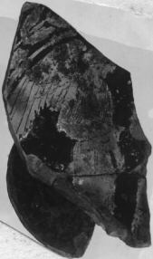 CUP, FRAGMENTS (ATHENIAN, RED-FIGURE)