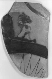 CUP A, FRAGMENTS (ATHENIAN, BLACK-FIGURE)