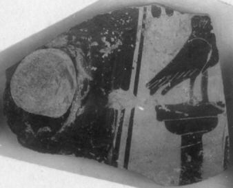 AMPHORA, PANATHENAIC PRIZE (ATHENIAN, BLACK-FIGURE)