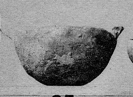 BOWL (CYPRIOT, BRONZE AGE)