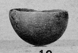 BOWL (CYPRIOT, BRONZE AGE)