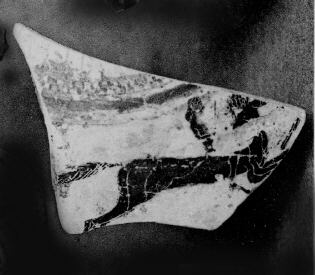 LID (?), FRAGMENT (CORINTHIAN, BLACK-FIGURE)