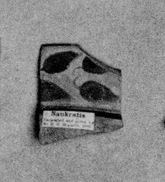 CUP, FRAGMENT (AEGINETAN)