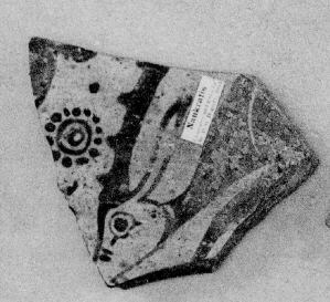 OINOCHOE, FRAGMENT (EAST GREEK, OUTLINE)