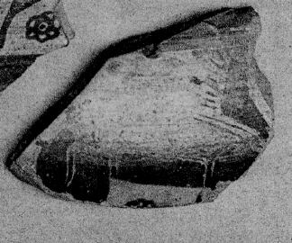 OINOCHOE, FRAGMENT (EAST GREEK, OUTLINE)