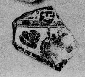OINOCHOE, FRAGMENT (EAST GREEK, OUTLINE)