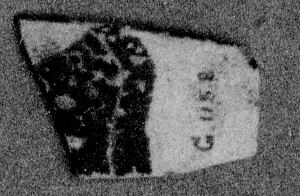 CHALICE, FRAGMENT (EAST GREEK, NAUCRATITE, BLACK-FIGURE)
