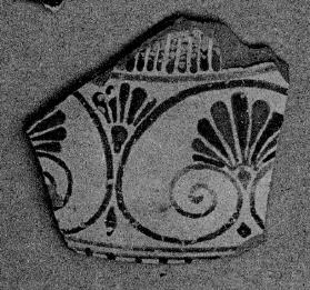 AMPHORA, NECK, FRAGMENT (EAST GREEK, FIKELLURA)