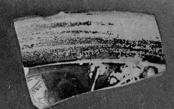 CUP, STEMLESS, FRAGMENT (ATHENIAN, RED-FIGURE)