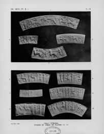 VARIOUS (ETRUSCAN, BUCCHERO)