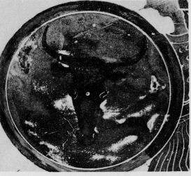 AMPHORA, NECK (ATHENIAN, BLACK-FIGURE)