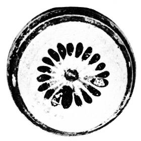 ARYBALLOS (CORINTHIAN)