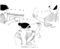 View 15