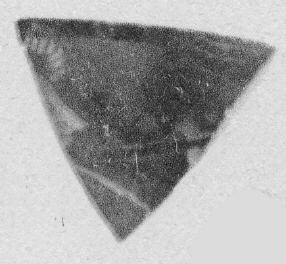 CUP, FRAGMENT (ATHENIAN, RED-FIGURE)