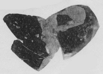 FRAGMENT (ATHENIAN, RED-FIGURE)