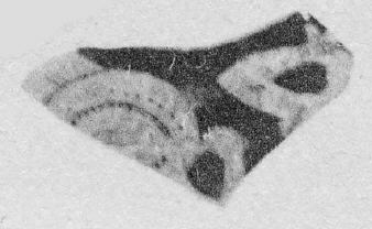 CUP, FRAGMENT (ATHENIAN, RED-FIGURE)