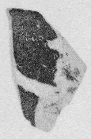 CUP, FRAGMENT (ATHENIAN, RED-FIGURE)