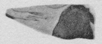CUP, FRAGMENT (ATHENIAN, RED-FIGURE)