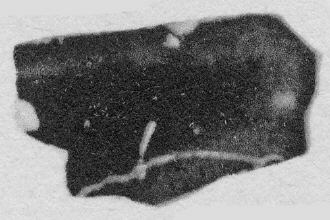 CUP, FRAGMENT (ATHENIAN, RED-FIGURE)