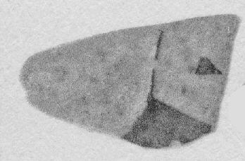 CUP, FRAGMENT (ATHENIAN, RED-FIGURE)