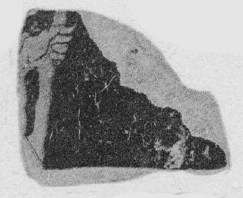 FRAGMENT (ATHENIAN, RED-FIGURE)