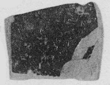 FRAGMENT (ATHENIAN, RED-FIGURE)