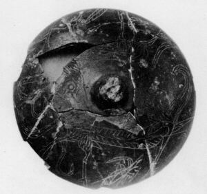 LID (VILLA NOVA)