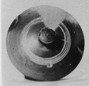 PYXIS LID (ATHENIAN, BLACK-FIGURE)