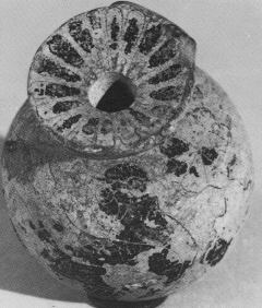ARYBALLOS (CORINTHIAN, BLACK-FIGURE)