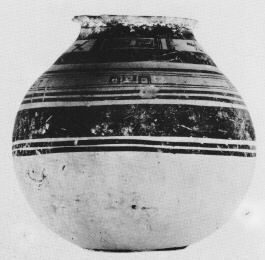 OINOCHOE (DAUNIAN)