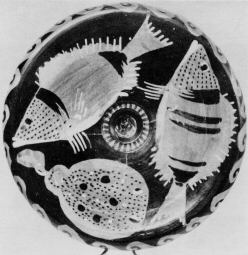 FISH PLATE (SOUTH ITALIAN, CAMPANIAN, RED-FIGURE)