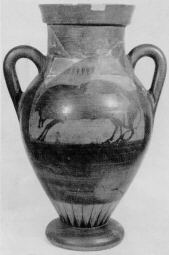 AMPHORA, BELLY (ETRUSCAN, BLACK-FIGURE)